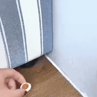 Quick Catch Cafards طعم قتل الصراصير الحل المثالي